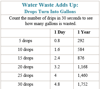 Water Waste Adds Up